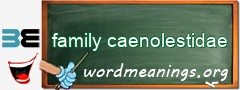 WordMeaning blackboard for family caenolestidae